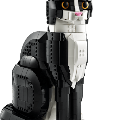 Tuxedo Cat