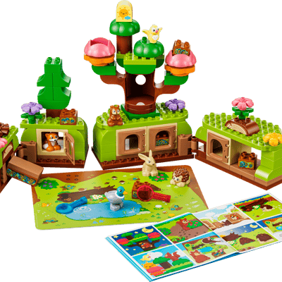 Discovery Forest with Wild Animals