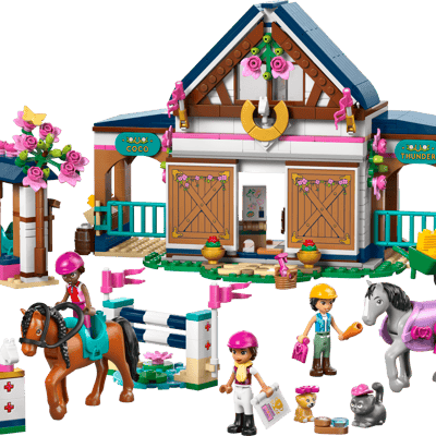 Horse Stable and Riding Academy