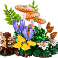 Woodland Mushrooms