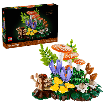 Woodland Mushrooms
