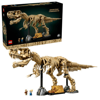 Dinosaur Fossils: Tyrannosaurus rex