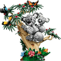 Wild Animals: Family of Koalas