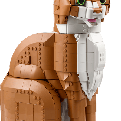 Orange Cat