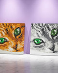 Cat Eyes Brick Paintings DIY Model Kit