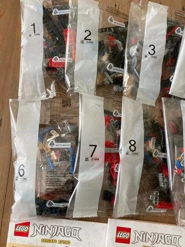 LEGO 71869 Ninjago Land Bounty - NO MINIFIGURES - Build Only!