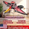 Aerobatic RC Plane Dinosaur 2.4Ghz 4CH Remote Control Aircraft RC Model Vehicles
