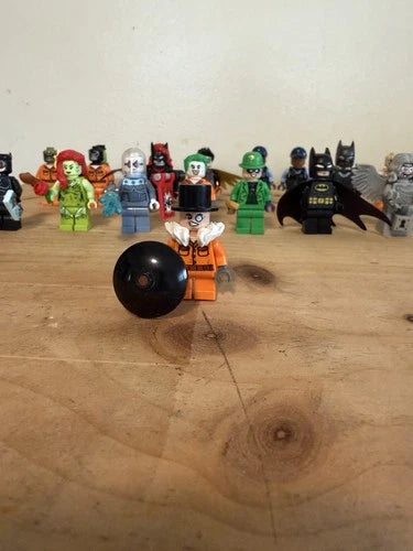 MEOW DC Minifigure from Arkham Asylum.