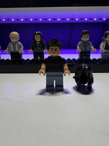 LEGO Twilight Cullen House Minifigures Lot – Bella, Edward, Jacob & More