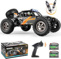 905 Protector 1:12 Scale RC Cars, Off-Road RC Buggy Hobby Grade