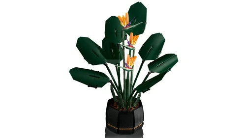Birds of Paradise 10289