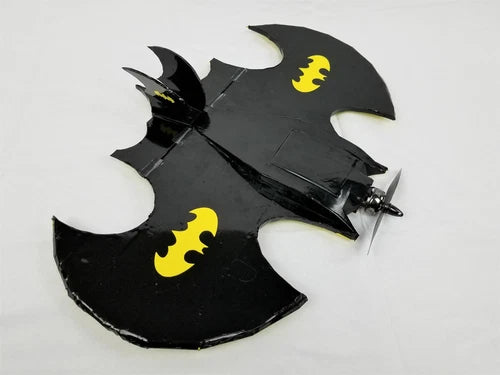 Bat Wing R/C Airplane Kit