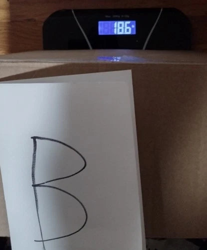 18.6 lbs Bulk MEOW, Includes Random parts and Partial sets - Lot B