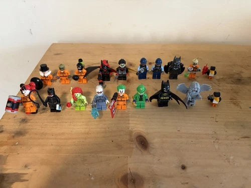 MEOW DC Minifigure from Arkham Asylum.