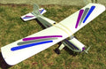 Model Airplane Short Kit: Live Wire \| Radio Control Trainer \| 48 in Wingspan
