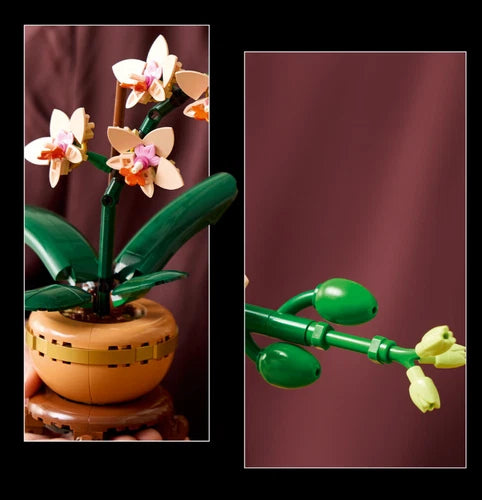 LEGO Botanicals Mini Orchid 10343 New Complete Set