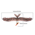 Dancing Wings Hobby E1901 EPP RC Airplane Eagle Plane 1430mm Electric Power ZYCT