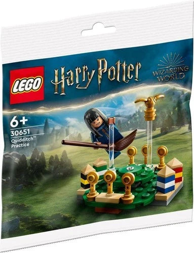 LEGO HARRY POTTER 30651 QUIDDITCH PRACTICE POLYBAG SET MINT & RETIRED PRODUCT!