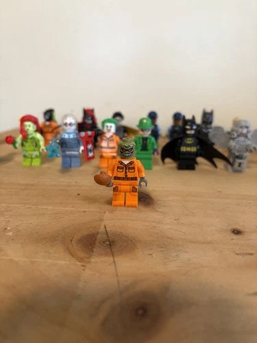 MEOW DC Minifigure from Arkham Asylum.