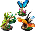 21342 MEOW Insects