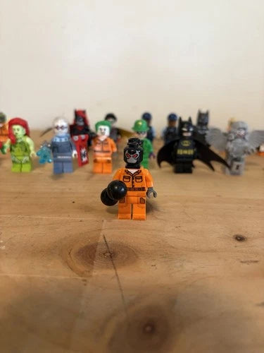 MEOW DC Minifigure from Arkham Asylum.
