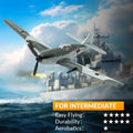 RC 76206 2.4GHz 3CH Airplane Fixed Wing With Gyro System 2 Batteries Kid Toy.