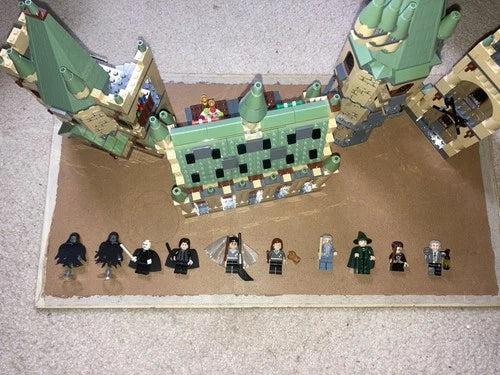 Hogwarts Castle (4842) MEOW All Minifigs and Exclusive parts. (see description)