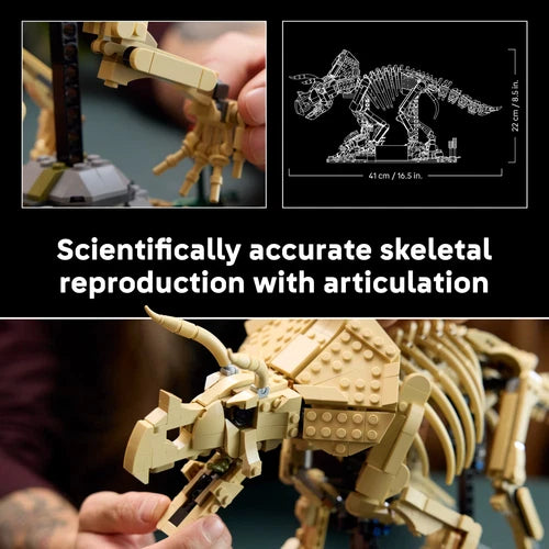 LEGO Jurassic World Dinosaur Fossils: Triceratops - Building Set for Adults, Age