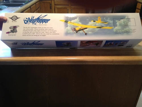 Ace Simple Series Grasshopper RC Airplane - Kit Version