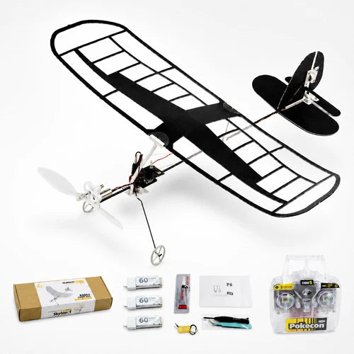 DaNiao RC Ultra-Light Film-Covered RC Glider Trainer Airplane 2.4GHz 3CH indoor